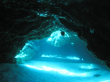 Underwater picture of Capo Greko